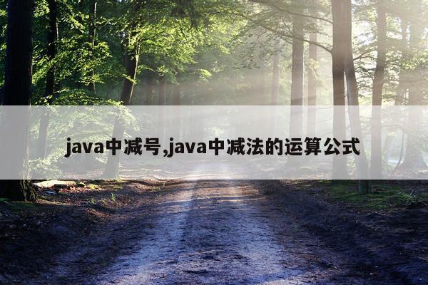 java中减号,java中减法的运算公式