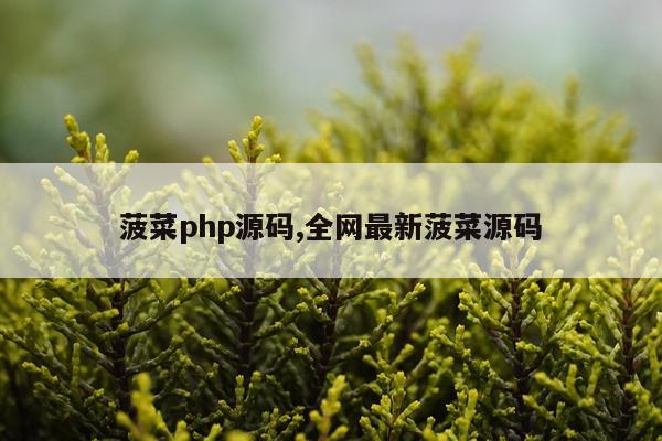 菠菜php源码,全网最新菠菜源码