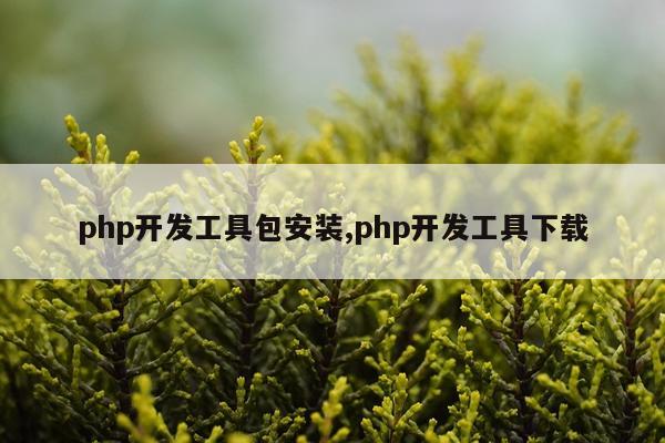 php开发工具包安装,php开发工具下载