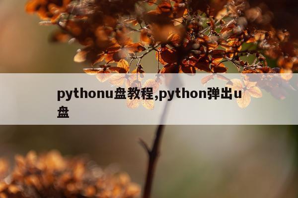 pythonu盘教程,python弹出u盘