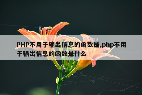 PHP不用于输出信息的函数是,php不用于输出信息的函数是什么