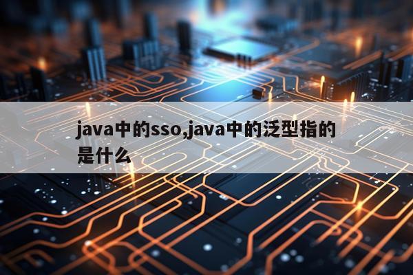 java中的sso,java中的泛型指的是什么