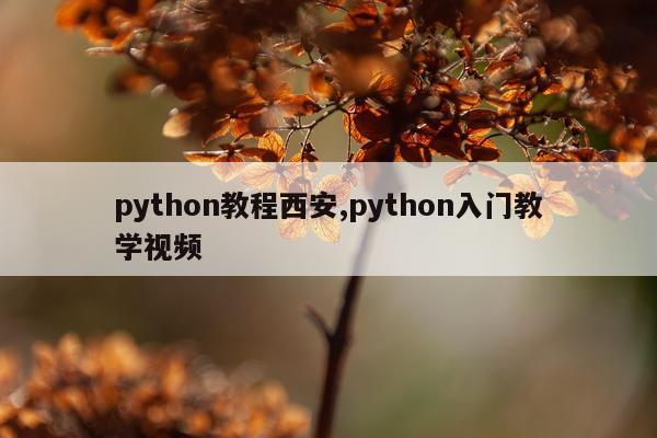 python教程西安,python入门教学视频