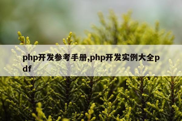 php开发参考手册,php开发实例大全pdf