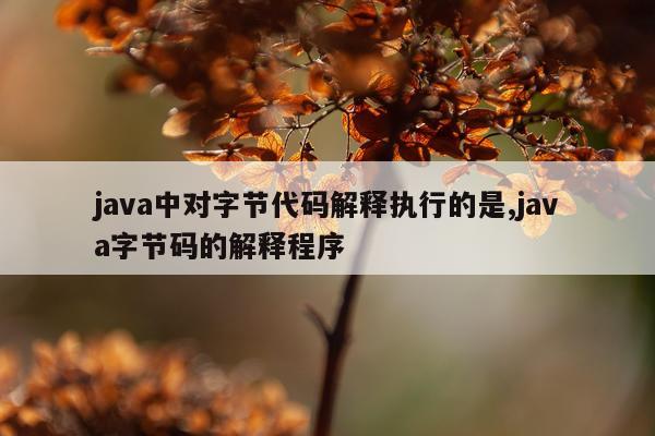 java中对字节代码解释执行的是,java字节码的解释程序