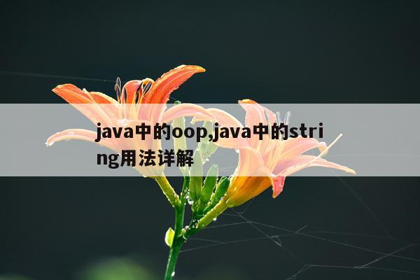 java中的oop,java中的string用法详解