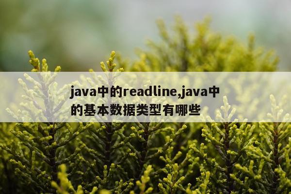 java中的readline,java中的基本数据类型有哪些