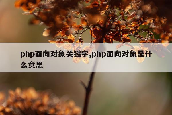 php面向对象关键字,php面向对象是什么意思