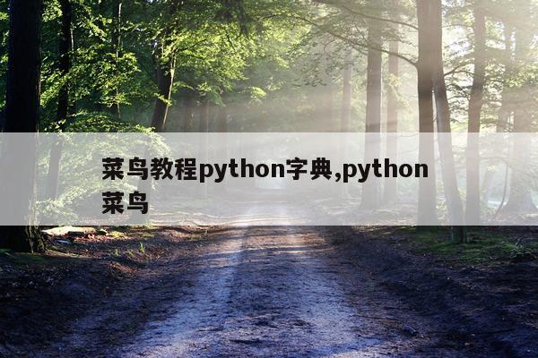 菜鸟教程python字典,python 菜鸟