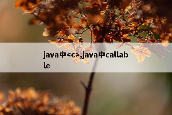 java中,java中callable