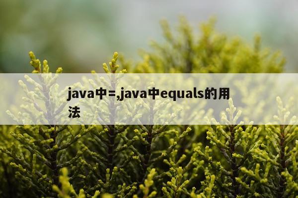 java中=,java中equals的用法