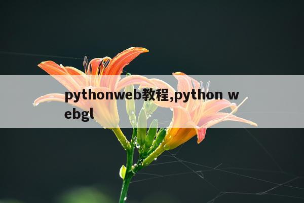 pythonweb教程,python webgl