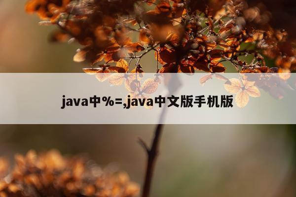 java中%=,java中文版手机版