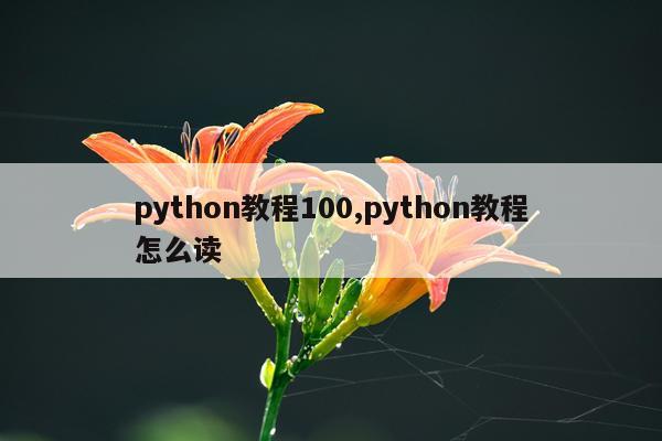 python教程100,python教程怎么读