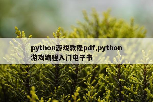 python游戏教程pdf,python游戏编程入门电子书