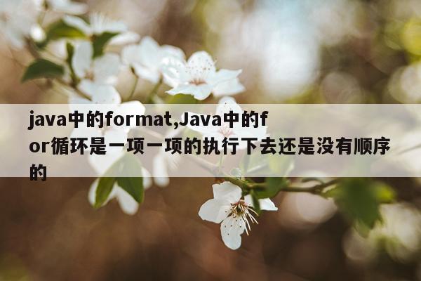 java中的format,Java中的for循环是一项一项的执行下去还是没有顺序的