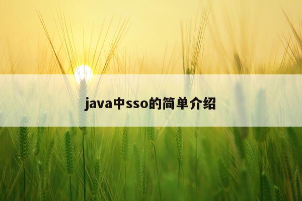java中sso的简单介绍
