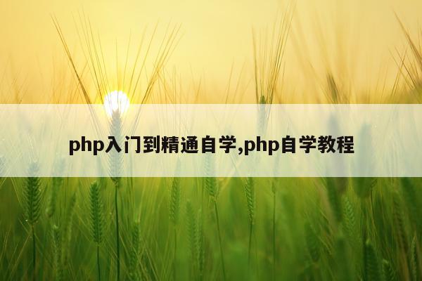 php入门到精通自学,php自学教程