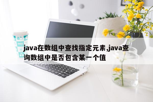 java在数组中查找指定元素,java查询数组中是否包含某一个值