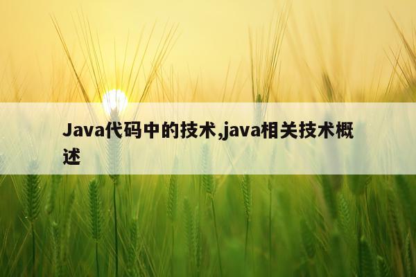 Java代码中的技术,java相关技术概述