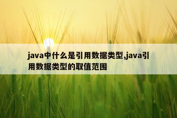 java中什么是引用数据类型,java引用数据类型的取值范围