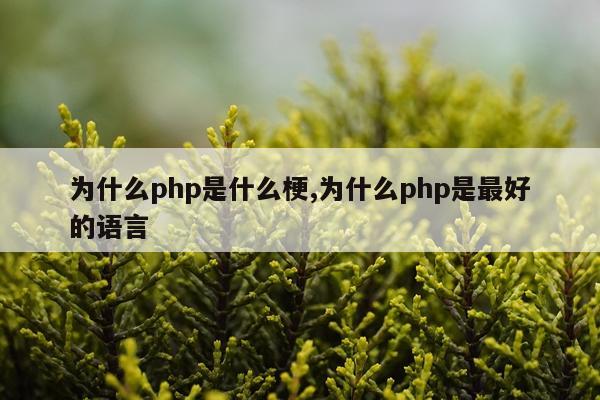 为什么php是什么梗,为什么php是最好的语言