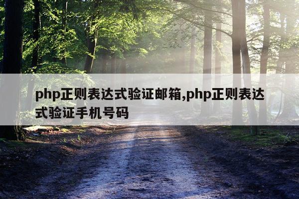 php正则表达式验证邮箱,php正则表达式验证手机号码