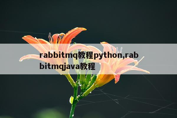 rabbitmq教程python,rabbitmqjava教程