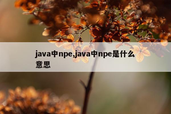 java中npe,java中npe是什么意思
