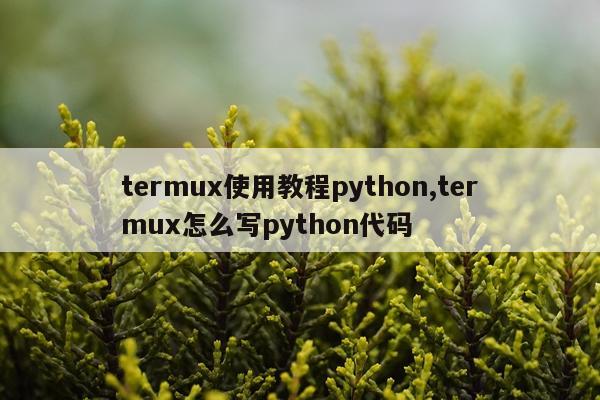 termux使用教程python,termux怎么写python代码