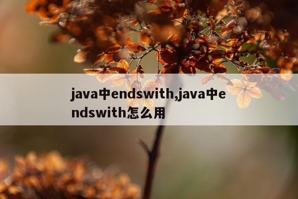 java中endswith,java中endswith怎么用