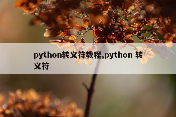 python转义符教程,python 转义符