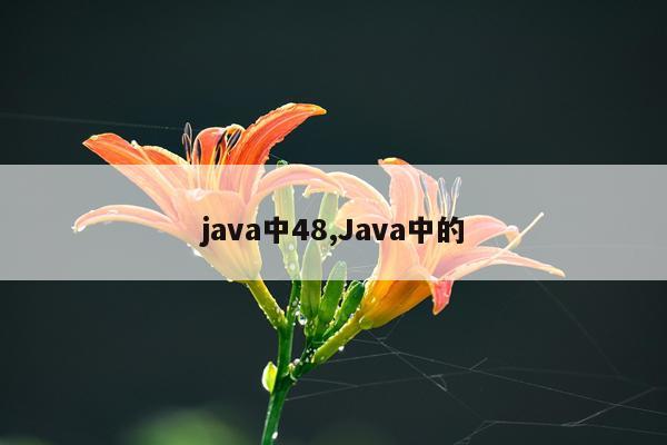 java中48,Java中的
