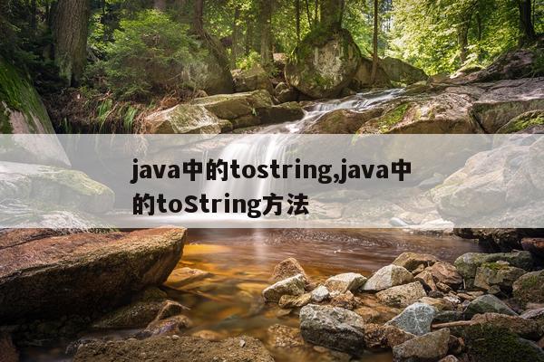 java中的tostring,java中的toString方法