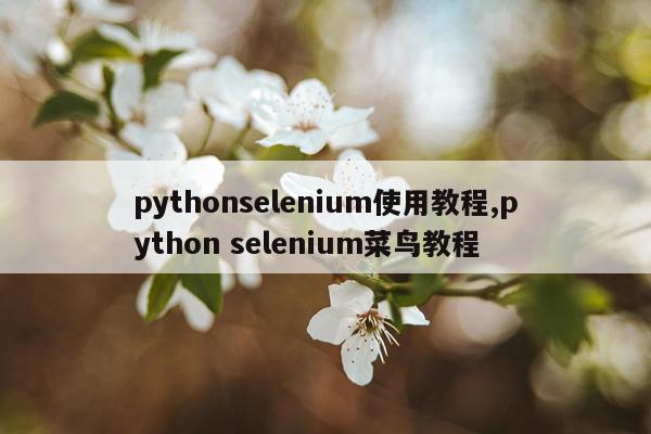 pythonselenium使用教程,python selenium菜鸟教程