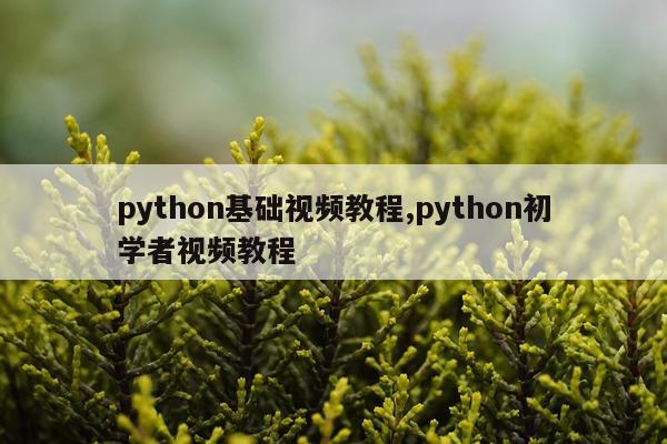 python基础视频教程,python初学者视频教程