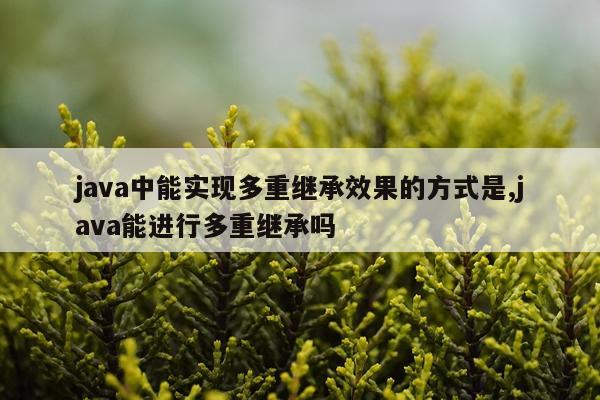 java中能实现多重继承效果的方式是,java能进行多重继承吗