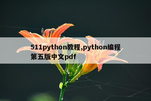 511python教程,python编程第五版中文pdf