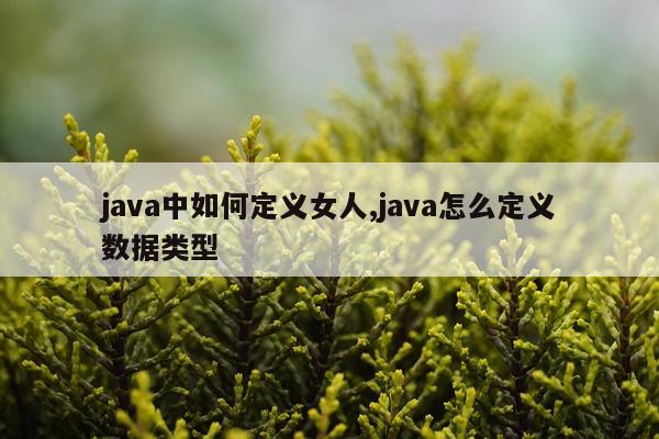 java中如何定义女人,java怎么定义数据类型
