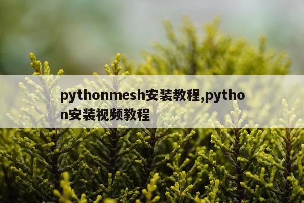 pythonmesh安装教程,python安装视频教程