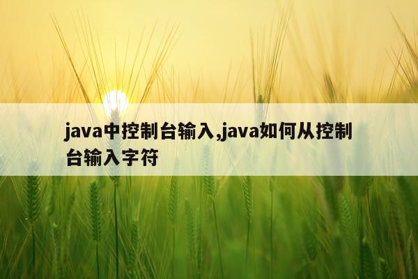 java中控制台输入,java如何从控制台输入字符