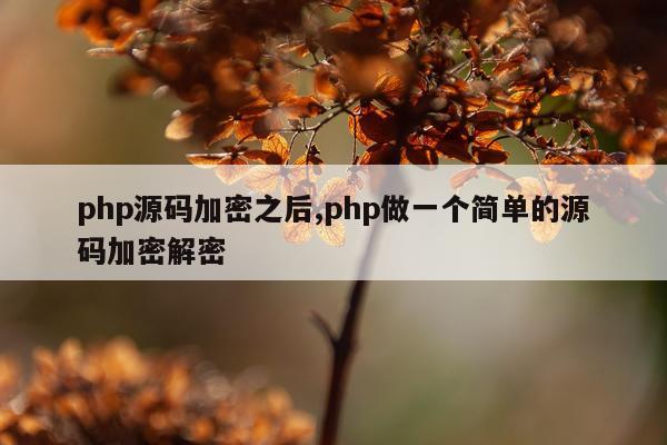 php源码加密之后,php做一个简单的源码加密解密