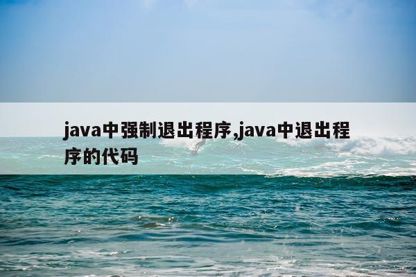java中强制退出程序,java中退出程序的代码