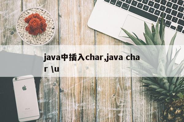 java中插入char,java char \u