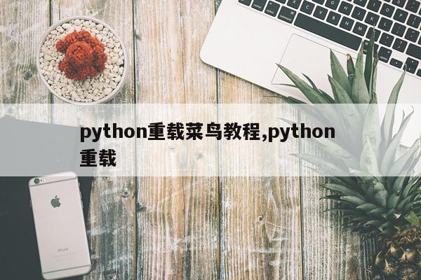 python重载菜鸟教程,python 重载