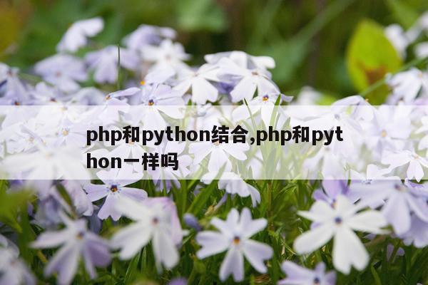 php和python结合,php和python一样吗
