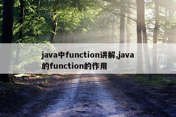 java中function讲解,java的function的作用