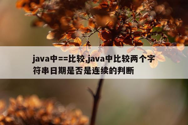 java中==比较,java中比较两个字符串日期是否是连续的判断