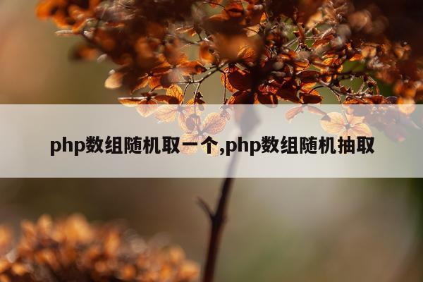 php数组随机取一个,php数组随机抽取