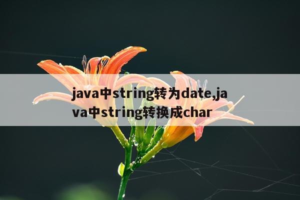 java中string转为date,java中string转换成char